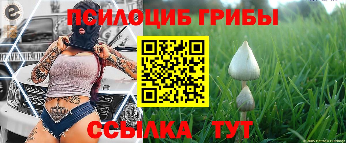 купить наркотик  Галлюциногенные грибы Magic Shrooms  Россия  Вход с VPN  Псилоцибиновые грибы Psilocybe 